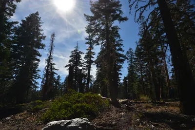 DSC_7831 (Large).JPG